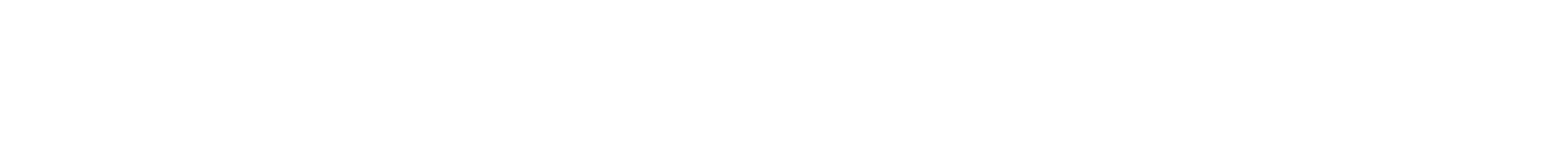 THE NEW FRONT