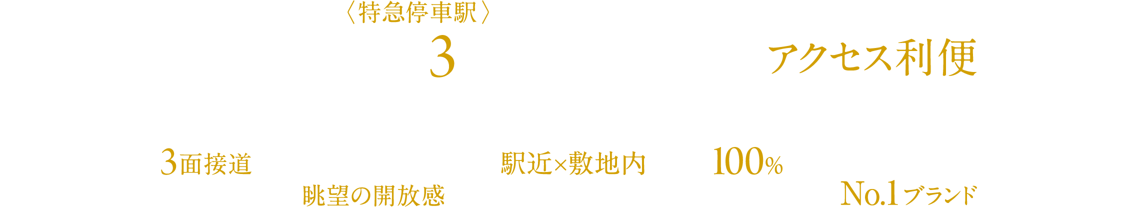 名鉄名古屋本線・西尾線〈特急停車駅〉「新安城」駅 徒歩3分／新安城駅北西側「新安城1号踏切」を通らない 国道1号線アクセス利便／3面接道・独立感のある街区 遮るもののない眺望の開放感／駅近×敷地内駐車場100％ 全56台中10台が平面式／三河地域供給戸数No.1ブランド